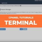 How to Use Terminal in Cpanel